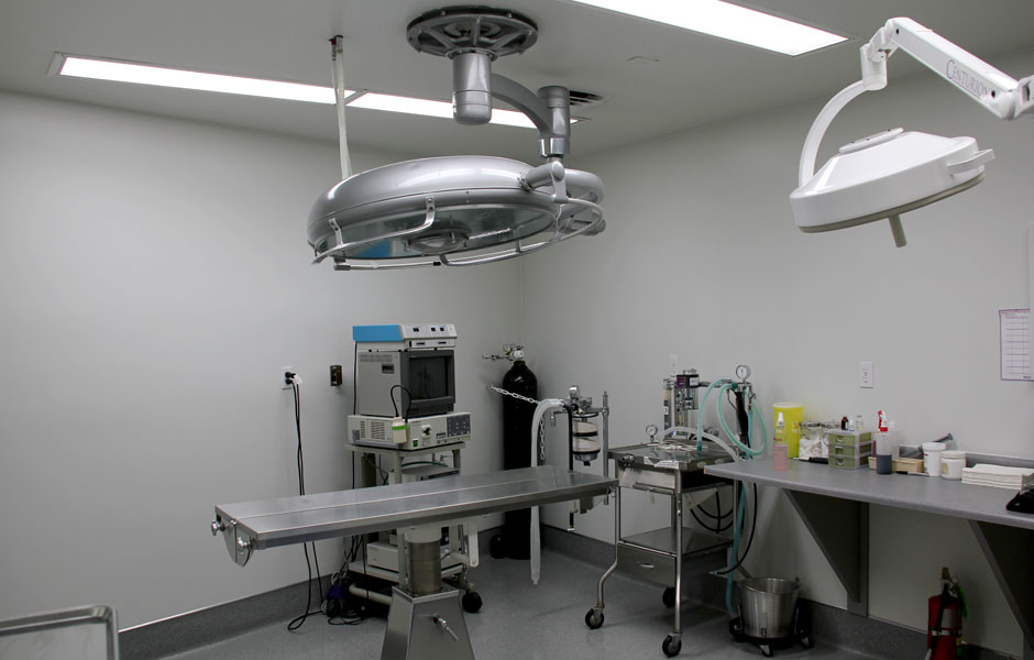 The Animal Medical Centre Edmonton - Surgery Room