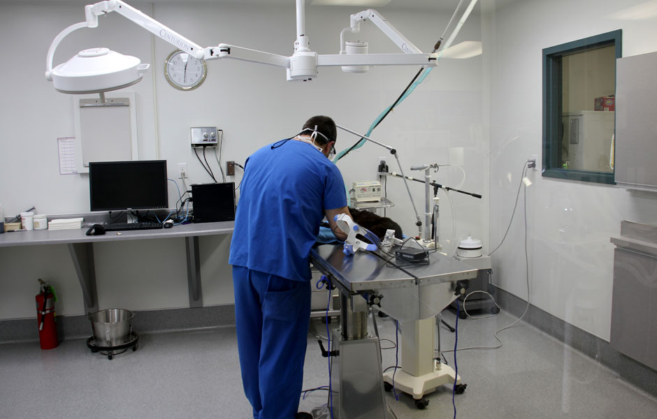 The Animal Medical Centre Edmonton - Surgery Room